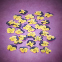 Dried thought flowers "L"