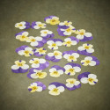 Getrocknete Gedankenblumen "L" Getrocknete Gedankenblumen "L"