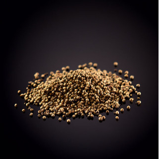 Long white seeded peperre from Kampot White pepper