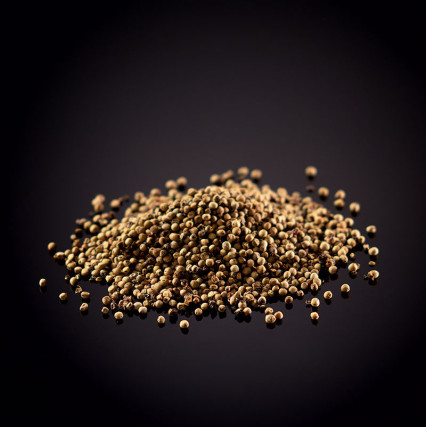 Long white seeded peperre from Kampot White pepper