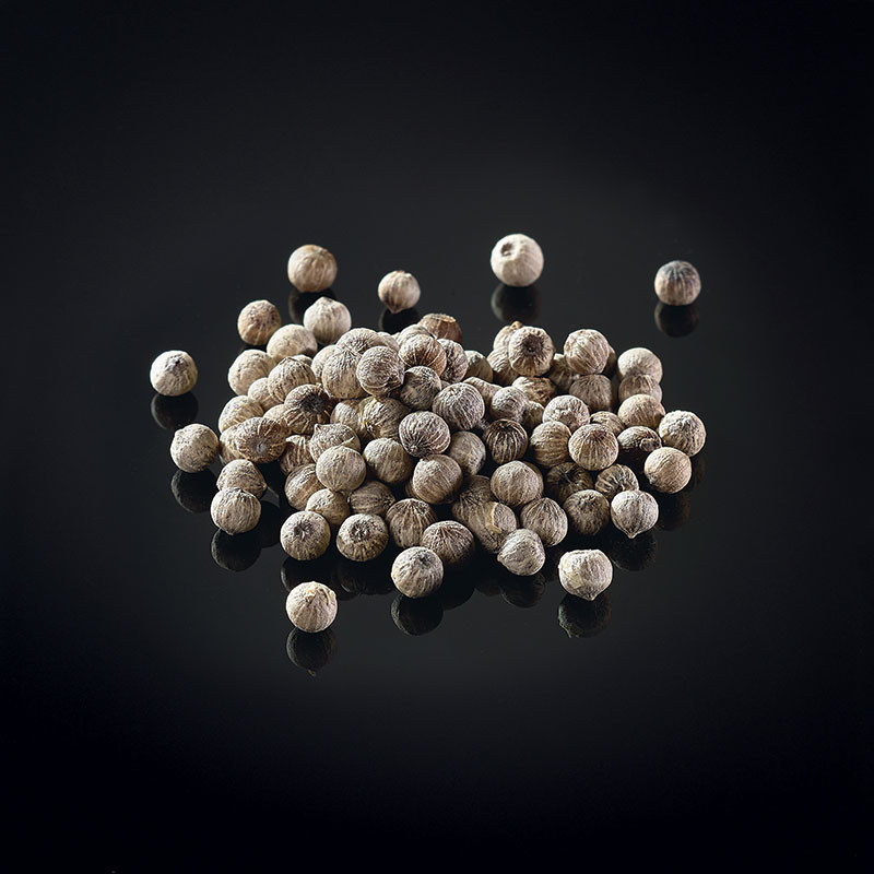 White peppercorns from Putumayo