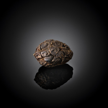 Svarta kardemomfrön