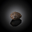Black Cardamom seeds Black Cardamom seeds