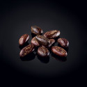Habas de cacao descascarilladas de Colombia