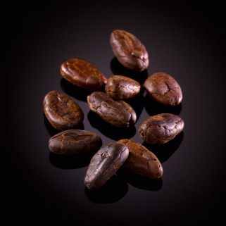 Fèves de cacao torréfiées
