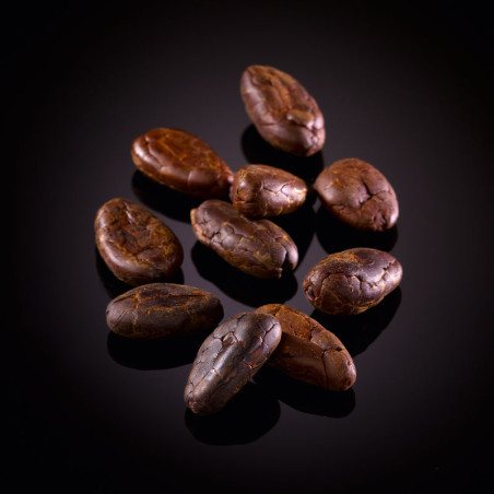 Fèves de cacao torréfiées