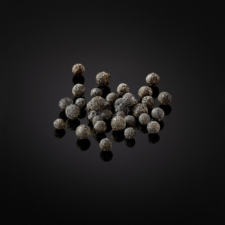 Bayas silvestres "Magao" o bahías de Verveine