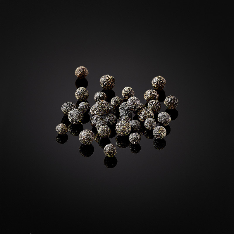 Vilda vikar "Magao" eller verbena bär Vilda vikar "Magao" eller verbena bär