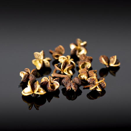 Mack Khen Bays din pădurile lui Luang Prabang