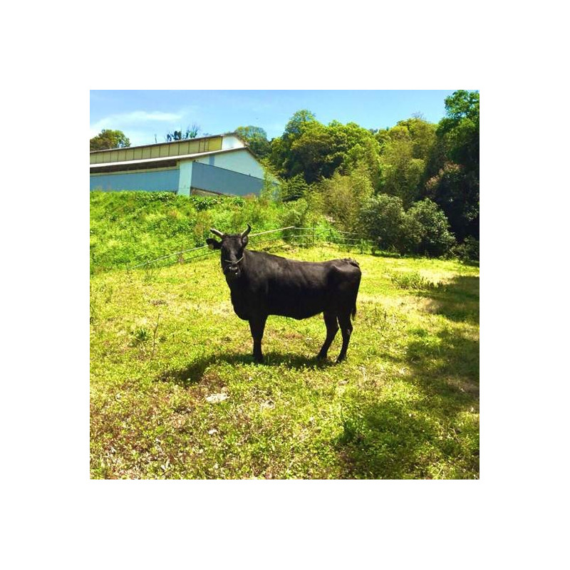 Boef Wagyu iz Japana