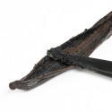 Unsplit tahitensis Black Gourmet Vanilla