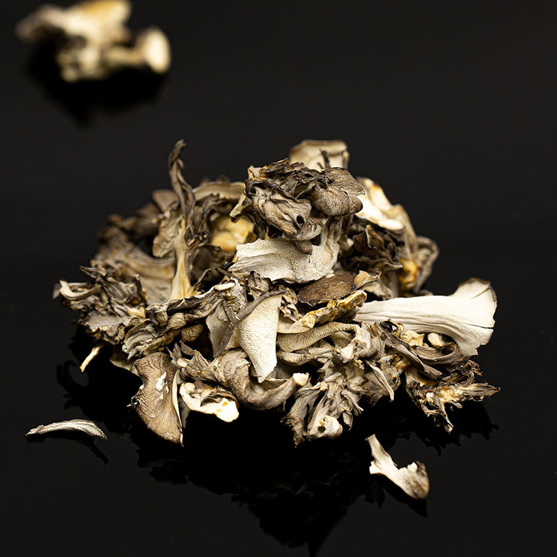 Maitake (Grifola Frondosa) Mushrooms