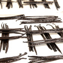 Unsplit Planifolia Black Gourmet Vanilla