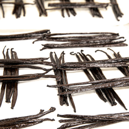 Unsplit Planifolia Black Gourmet Vanilla Vanilla