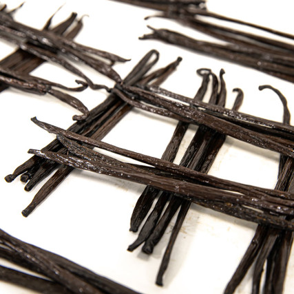 Vanille Gourmet Planifolia 16-18 cm - 250g - Sulawesi, Indonésie