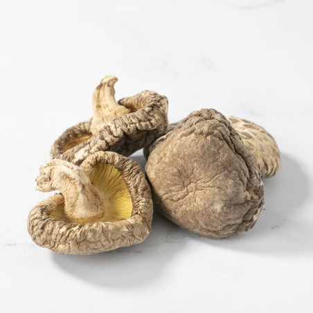 Shiitake jumbo 