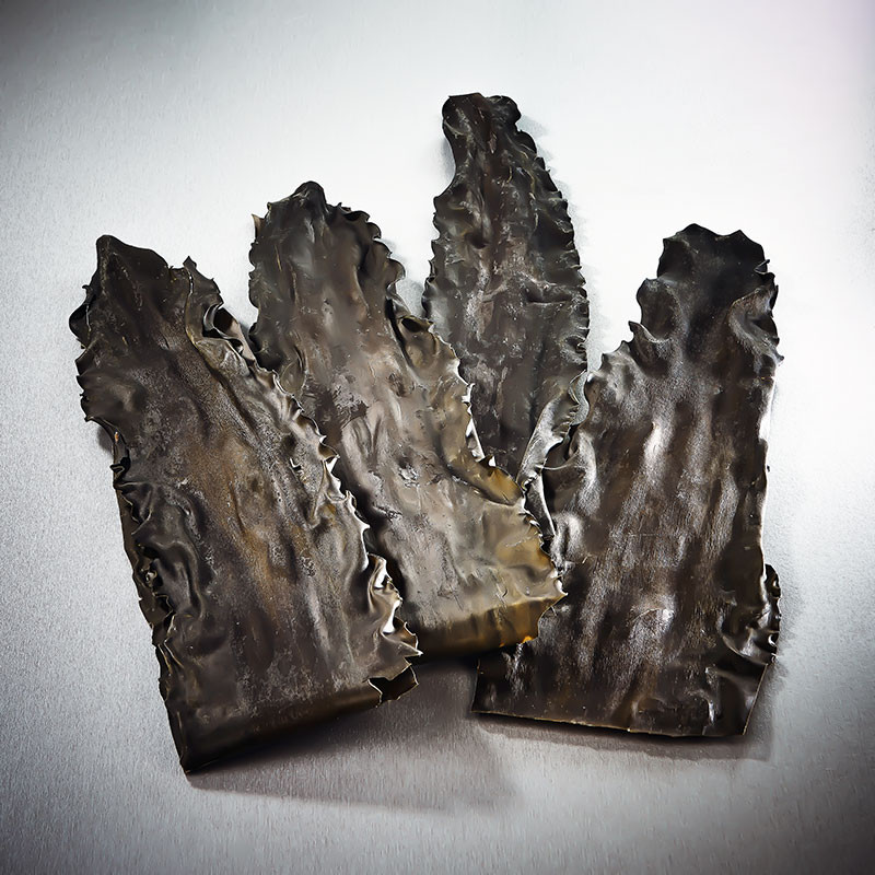 Alga kombu silvestre, procedente de las islas Rishiri y Rebun, calidad PRÉMIUM, 5 años de madur Alga kombu silvestre, procedente de las islas Rishiri y Rebun, calidad PRÉMIUM, 5 años de madur