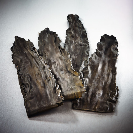 Algue kombu sauvage des îles Rishiri et Rebun, qualité PREMIUM, 5 ans d'affinage Kombu