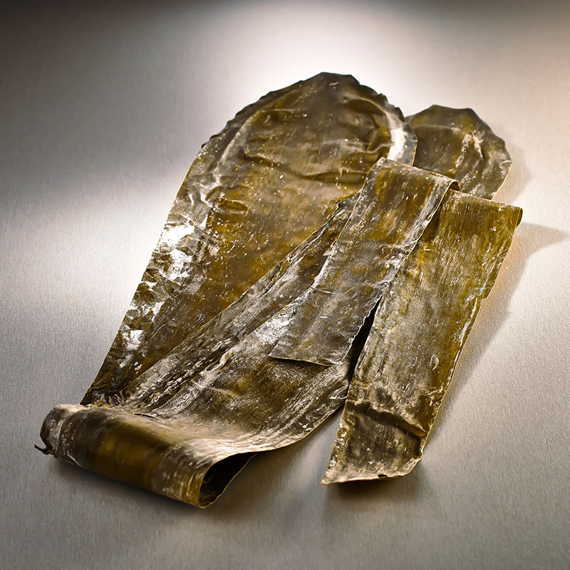 Rausu Kombu laukiniai alg