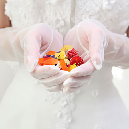 Dried edible red carnation petals