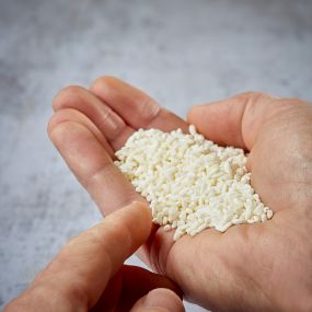 Riz malté "rice koji" Riz japonais