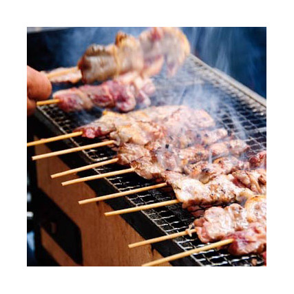 Barbacoa de mesa Konro Estufa BQ22