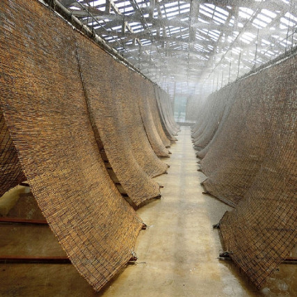 Морска сол Ваджима няма кайлен