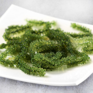 Seagrapes or Umibudo seaweed from Okinawa Umibudo