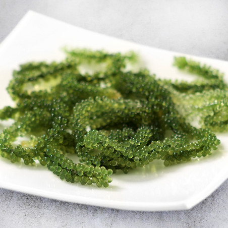 Seagrapes or Umibudo seaweed from Okinawa Umibudo