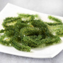 Okinawa UmiBudo Sea Currants eller Druvor