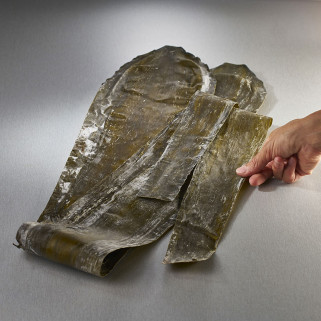 Alga Rauus Komu Premium