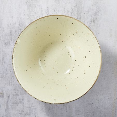 Tazón en Rāmen, Minoyaki Porcelana, Motivo Shirokesyou