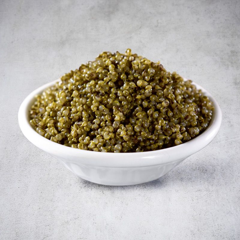Kochia Scoparia Tonburi mówi "Pola kawioru" 300 g