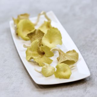 Cogumelos secos Hanasaki Tamogi desidratado