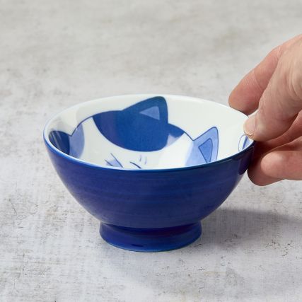 Rýžová mísa - kočka a ryby zdřímnutí