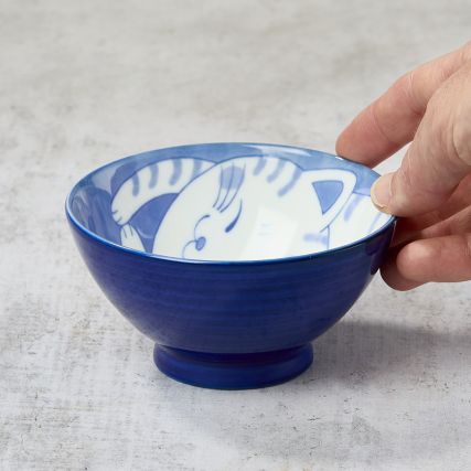 Rýžová mísa - kočka a ryby zdřímnutí