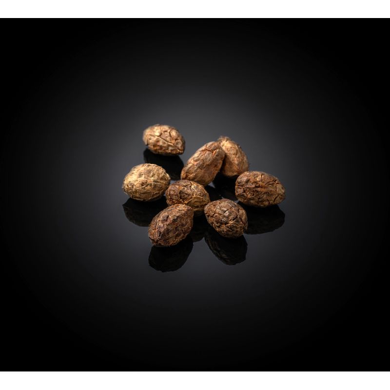 Negru cardamom Negru cardamom