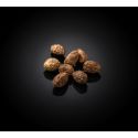 Cardamome noire Cardamome noire