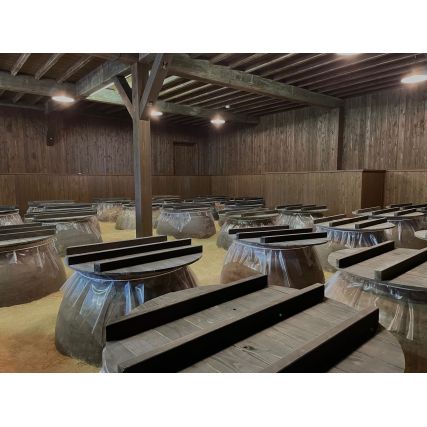 Shochu homura no kokuin, mini 10 lat