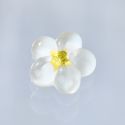 Amuleto de la suerte ENGIMONO flor blanco de ciruelo