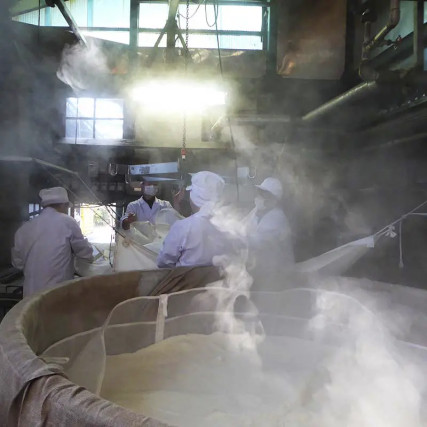 Sake Izumo Jidenshu para cocinar