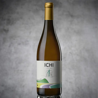 ICHI-G 2022 Pinot Gris 12%