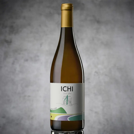 Ichi-g 2022 Pinot šedý 12%
