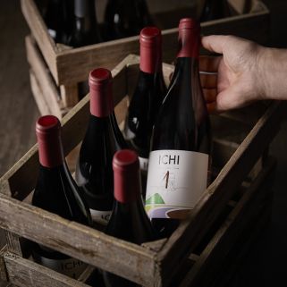 Ichi-P Pinot Black 2020 12% * Na zamówienie *