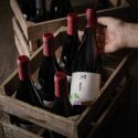ICHI-P Pinot Noir 2022 12% * La comandă *