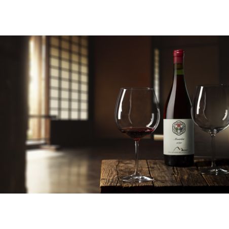 Montrot, Merlot, 2020 11% * on order *