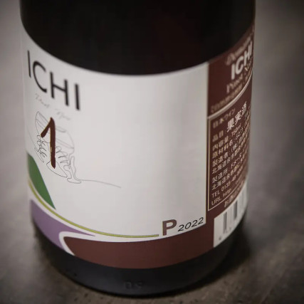 ICHI-P Pinot Noir 2022 12%