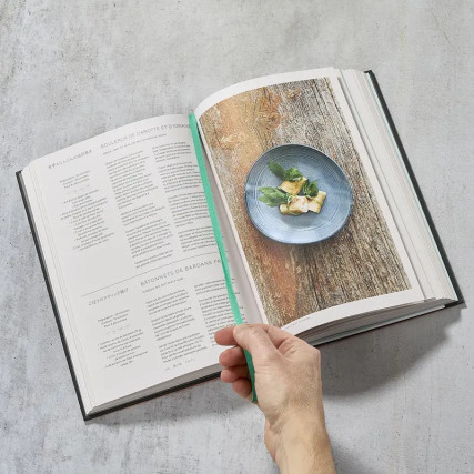 Japon : le livre de la cuisine végétarienne