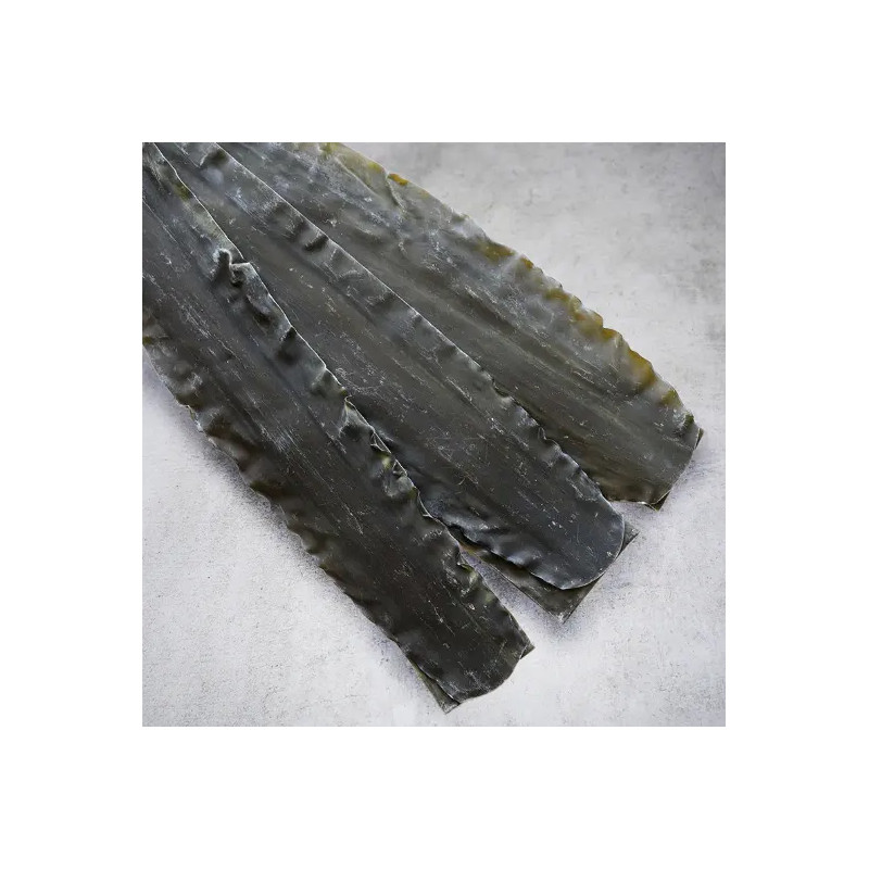 Alge Shirokuchihama Ma Kombu Premium iz Hokkaida