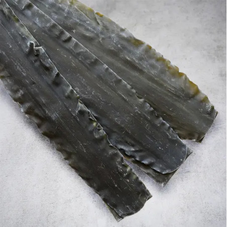 Algues Shirokuchihama Ma Kombu Premium de Hokkaido